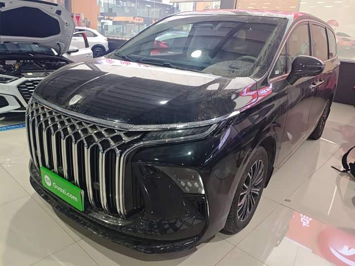 Dongfeng Forthing Xinghai V9 2024 2024款 1.5TD 200km 中国结系列 尊享型