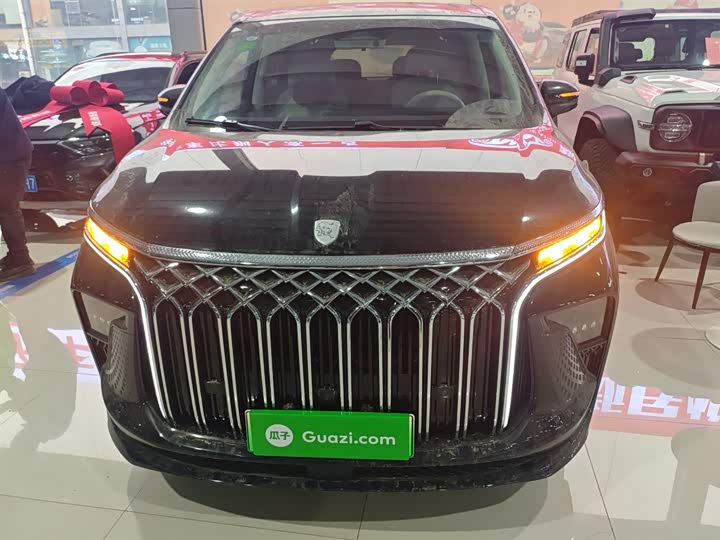 Dongfeng Forthing Xinghai V9 2024 2024款 1.5TD 200km 中国结系列 尊享型