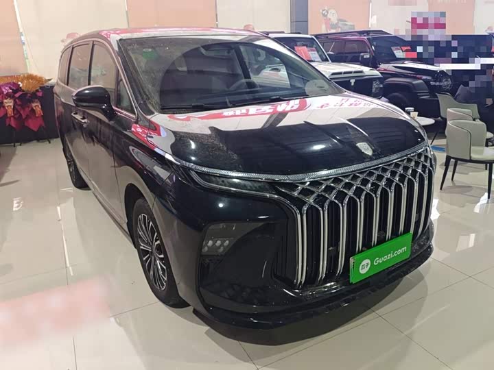 Dongfeng Forthing Xinghai V9 2024 2024款 1.5TD 200km 中国结系列 尊享型