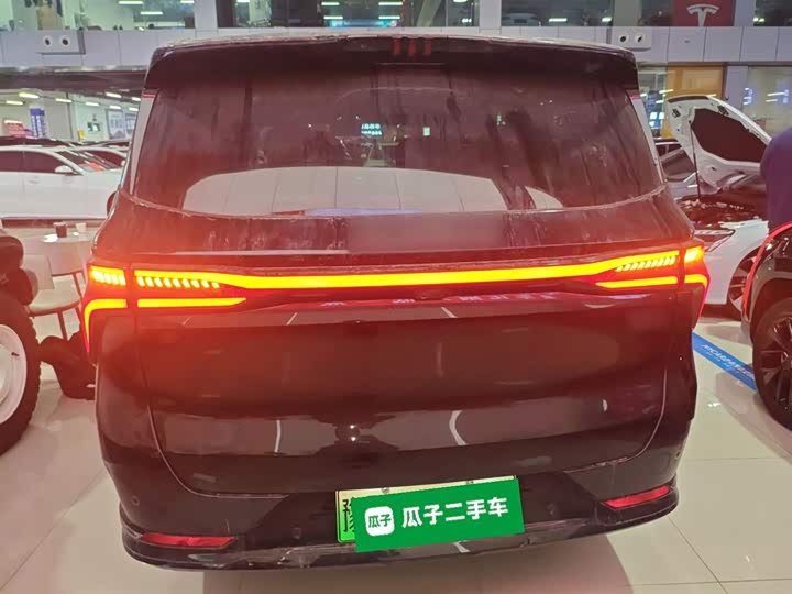 Dongfeng Forthing Xinghai V9 2024 2024款 1.5TD 200km 中国结系列 尊享型