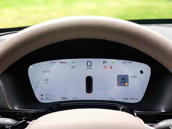 BYD Tang Hybrid/EV 2025 2025款 智驾版 DM-i 115KM 旗舰型