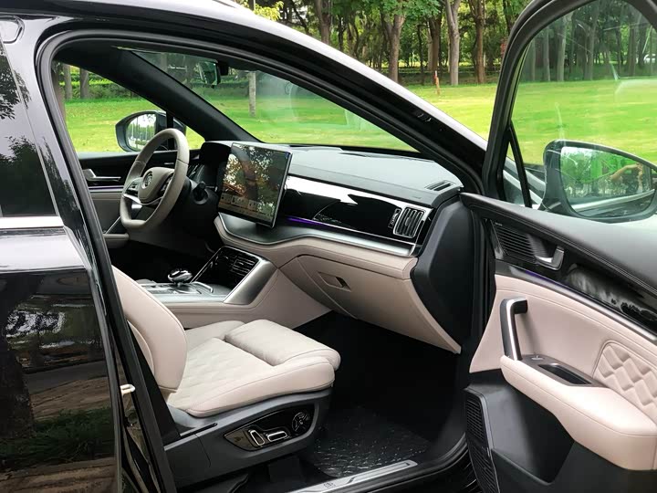 BYD Tang Hybrid/EV 2025 2025款 智驾版 DM-i 115KM 旗舰型