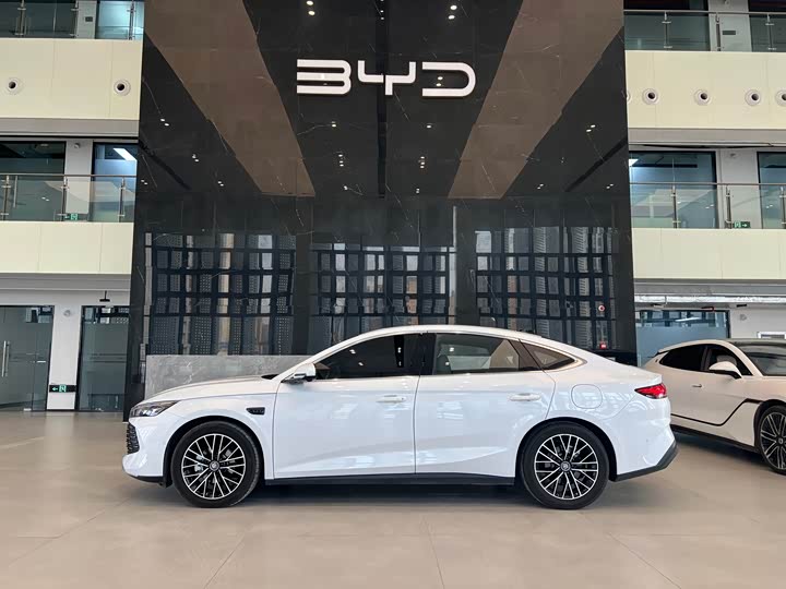 BYD Qin L 2025 2025款 DM-i 智驾版 120KM卓越型