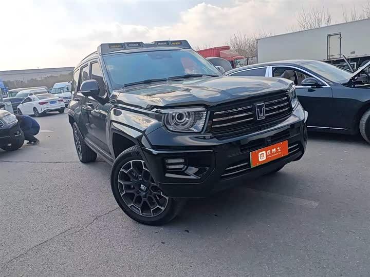 Tank 700 Hybrid 2024 2024款 Hi4-T 极境版