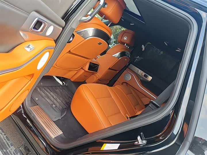 Tank 700 Hybrid 2024 2024款 Hi4-T 极境版