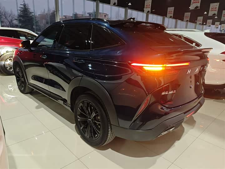 Haval H6S 2022 2022款 2.0T 两驱智跑版