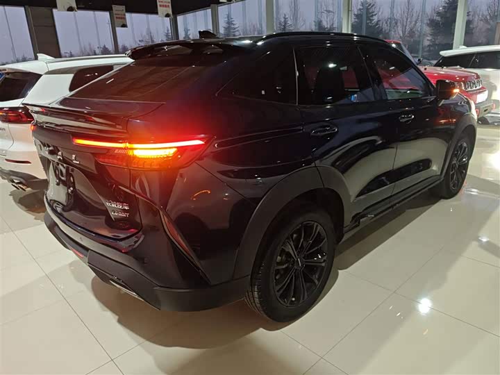 Haval H6S 2022 2022款 2.0T 两驱智跑版