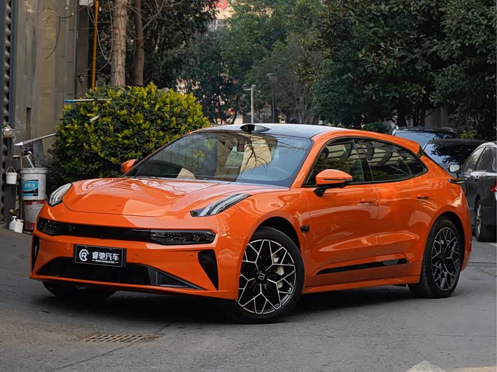 Zeekr 001 2025 2025款 WE版 100kWh 后驱