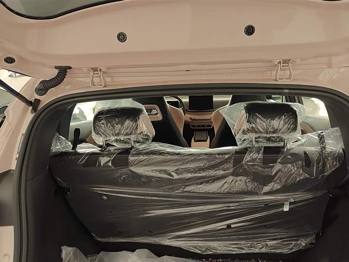 BYD Seagull 2025 2025款 305km 活力版