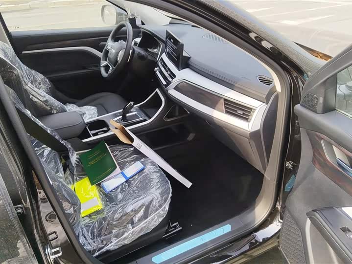 Haval H6 2025 2025款 1.5T 国潮都市版