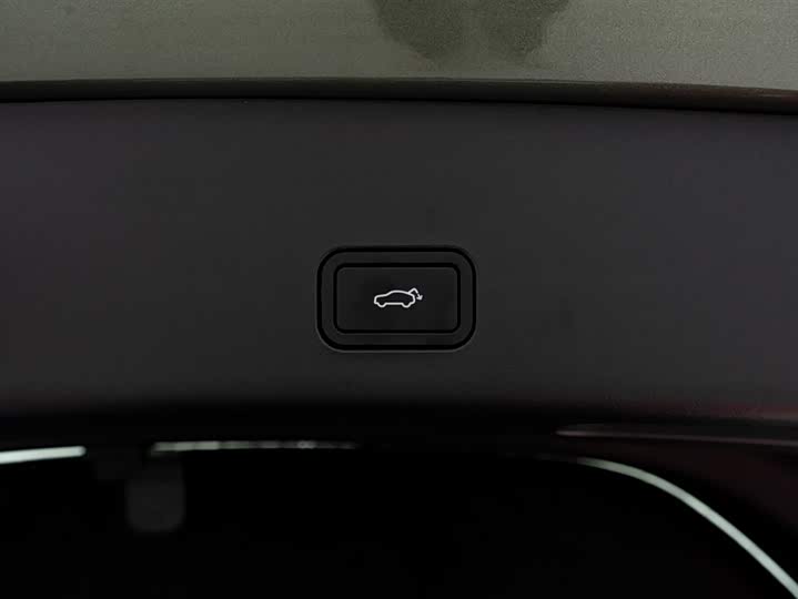 Zeekr 001 2025 2025款 WE版 100kWh 后驱