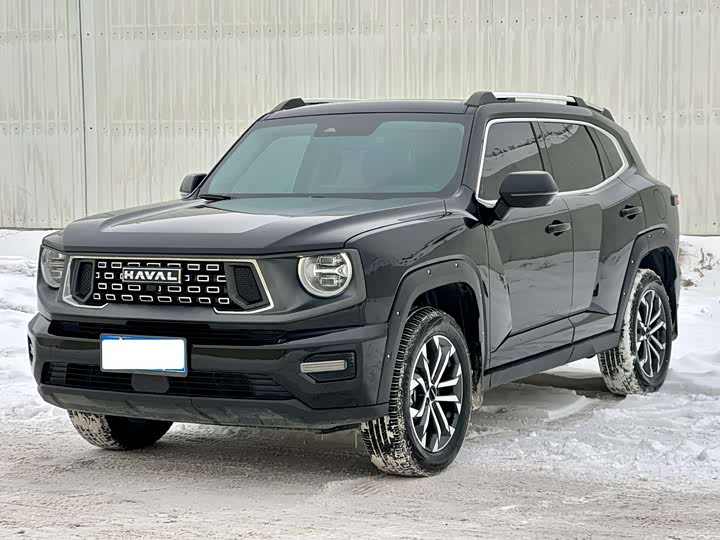 2023 Haval H-Dog