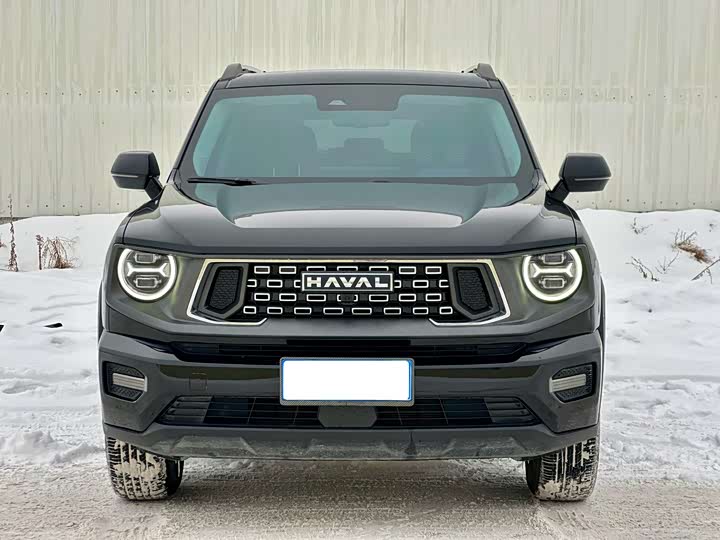 2023 Haval H-Dog