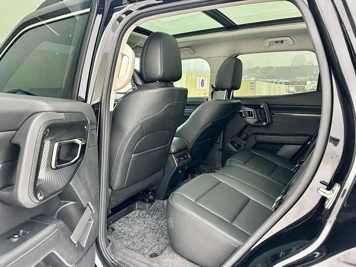 Haval H-Dog 2023 2023款 2.0T 两驱潮野版Plus