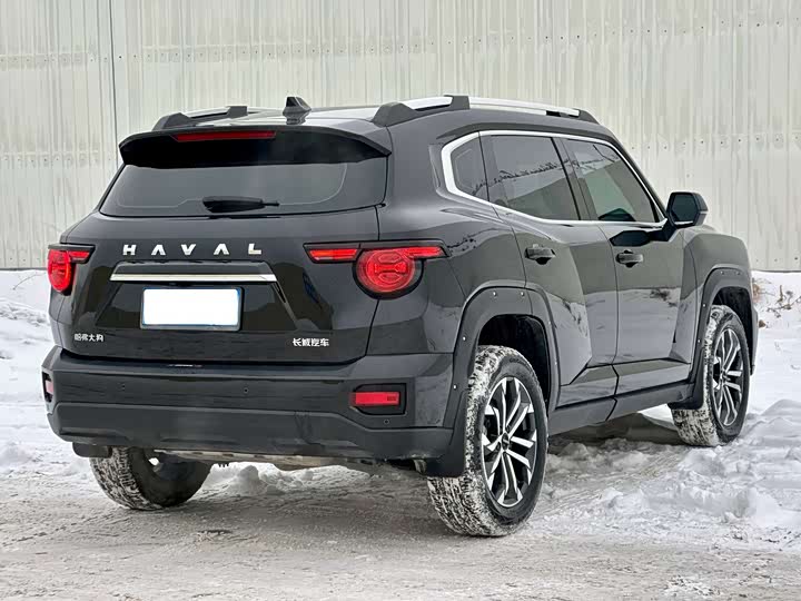 Haval H-Dog 2023 2023款 2.0T 两驱潮野版Plus