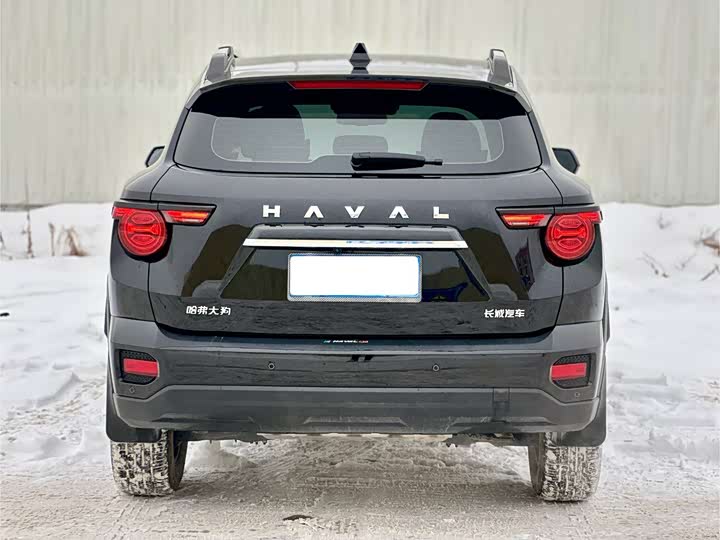 Haval H-Dog 2023 2023款 2.0T 两驱潮野版Plus