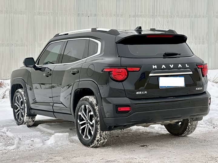 Haval H-Dog 2023 2023款 2.0T 两驱潮野版Plus