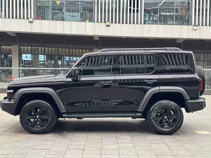 Tank 300 2024 2024款 2.0T 征服者