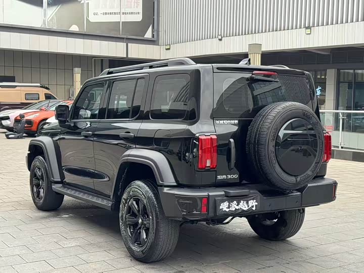 Tank 300 2024 2024款 2.0T 征服者