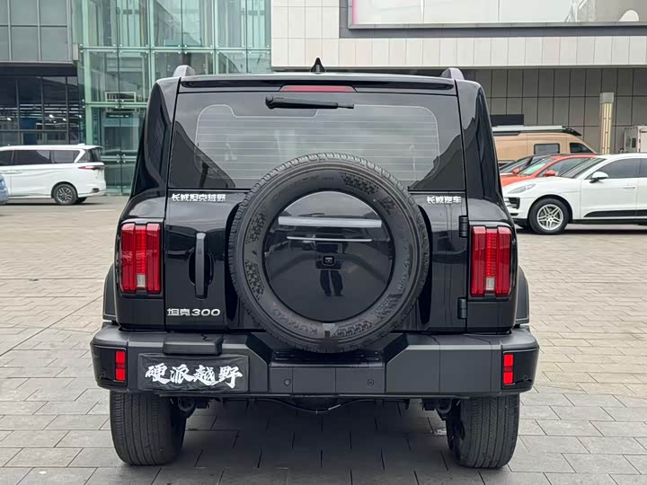 Tank 300 2024 2024款 2.0T 征服者