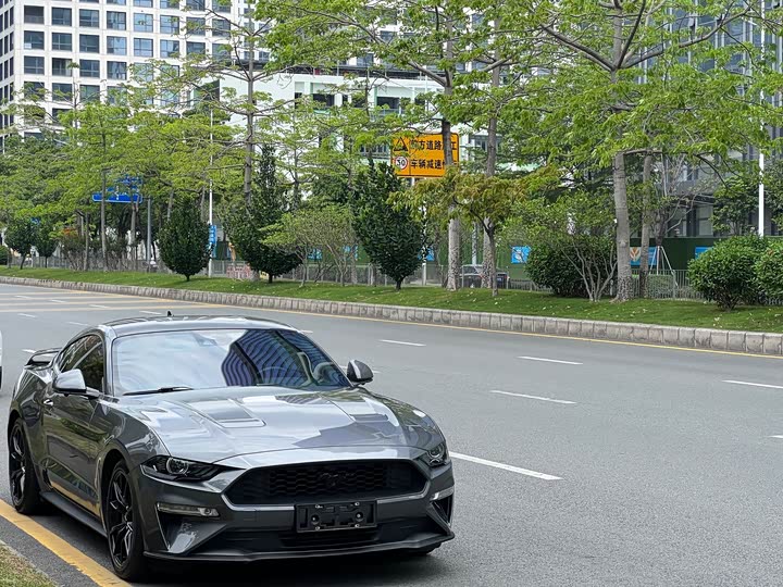 Ford Mustang 2021 2021款 2.3T EcoBoost 黑曜魅影特别版