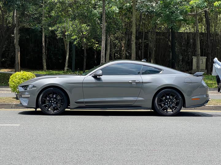 Ford Mustang 2021 2021款 2.3T EcoBoost 黑曜魅影特别版