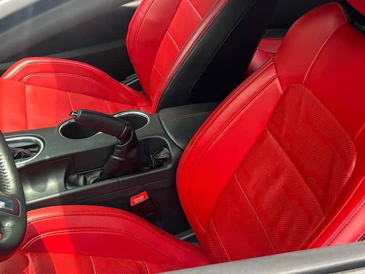 Ford Mustang 2021 2021款 2.3T EcoBoost 黑曜魅影特别版