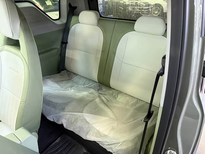 Geely Galaxy Panda Mini 2025 2025款 210km 熊猫骑士