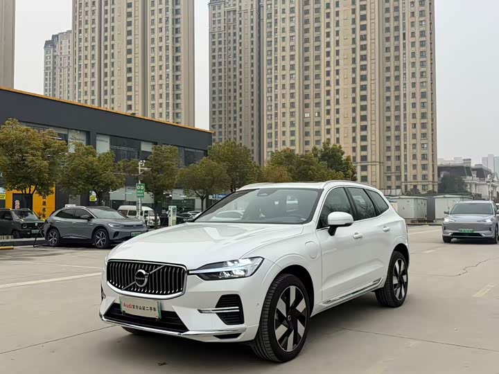 Volvo XC60 Hybrid 2025 2025款 插电式混动 长续航四驱智雅豪华版