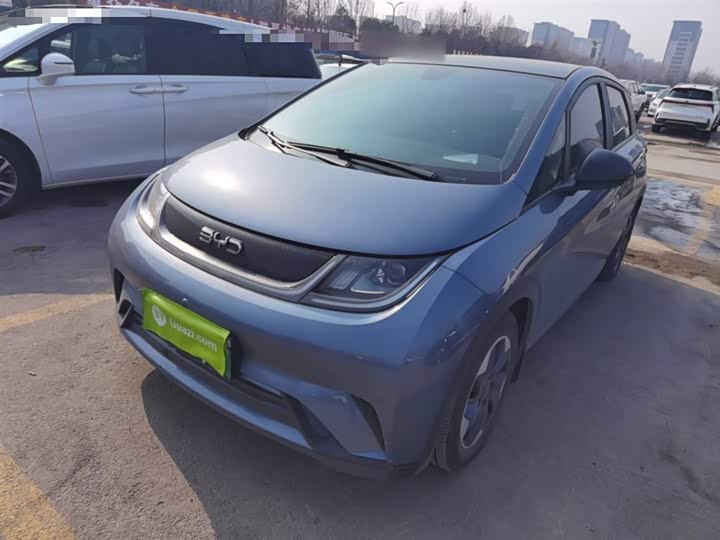 BYD Dolphin 2025 2025款 420km 时尚版