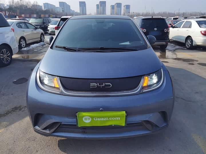 BYD Dolphin 2025 2025款 420km 时尚版