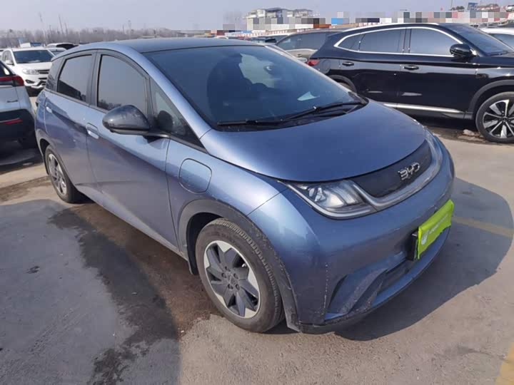 BYD Dolphin 2025 2025款 420km 时尚版