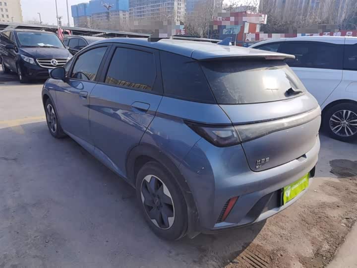 BYD Dolphin 2025 2025款 420km 时尚版
