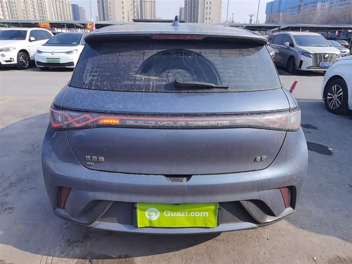 BYD Dolphin 2025 2025款 420km 时尚版