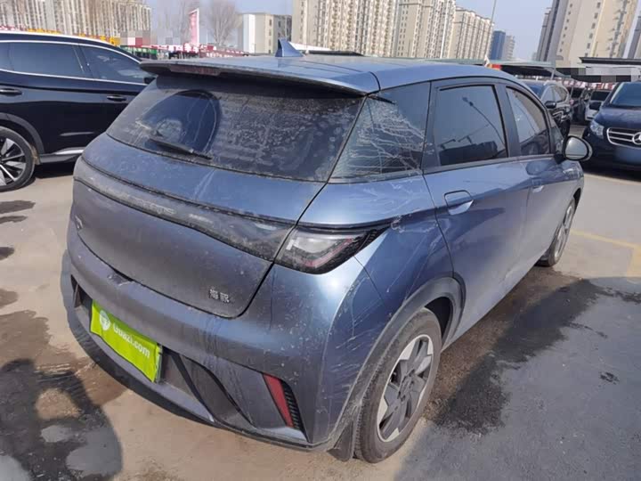 BYD Dolphin 2025 2025款 420km 时尚版