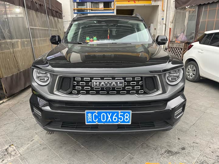 2023 Haval H-Dog