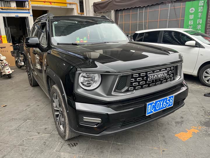 2023 Haval H-Dog