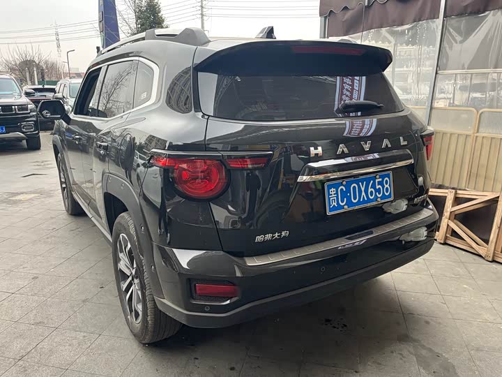2023 Haval H-Dog