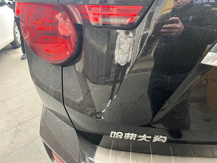 Haval H-Dog 2023 2023款 1.5T 两驱潮野版Plus