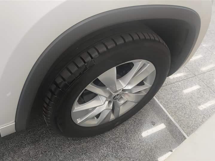 Skoda Kodiaq 2025 2025款 TSI330 5座两驱实力版