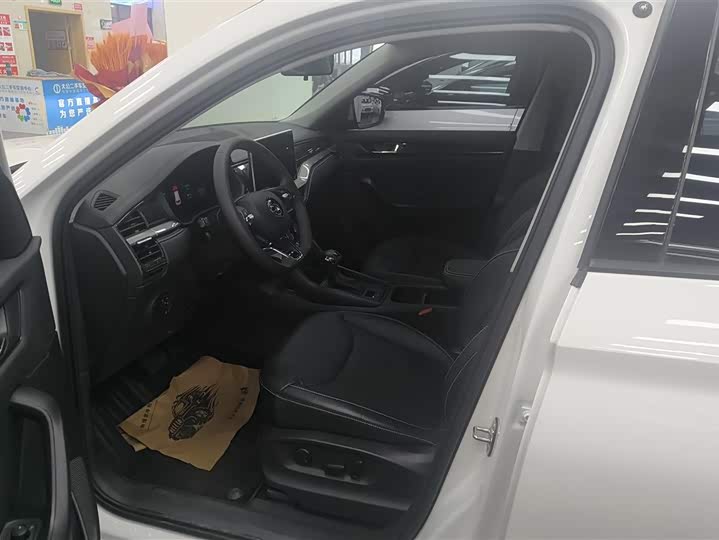 Skoda Kodiaq 2025 2025款 TSI330 5座两驱实力版