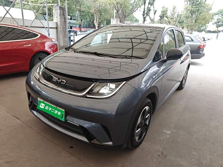 BYD Dolphin 2025 2025款 420km 自由版