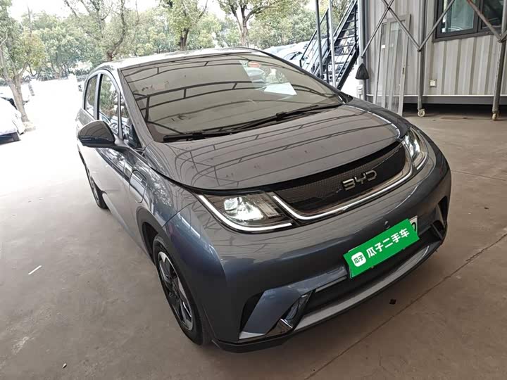BYD Dolphin 2025 2025款 420km 自由版