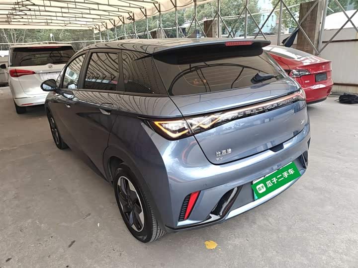 BYD Dolphin 2025 2025款 420km 自由版