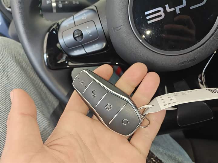 BYD Dolphin 2025 2025款 420km 自由版