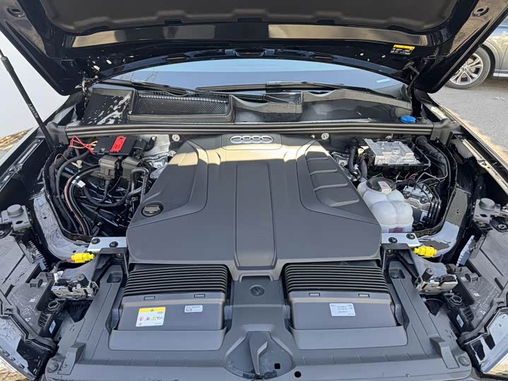Audi Q7 2024 2024款 45 TFSI quattro S line黑武士型