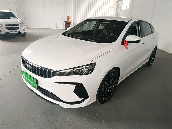 2024 Geely Binrui