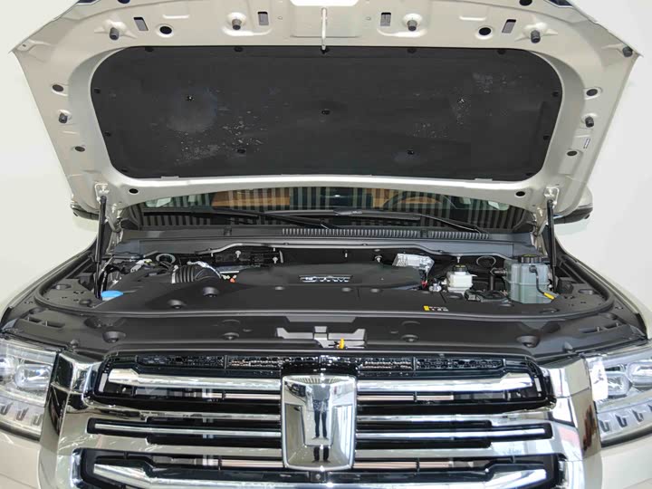 Tank 500 Hybrid 2025 2025款 Hi4-Z