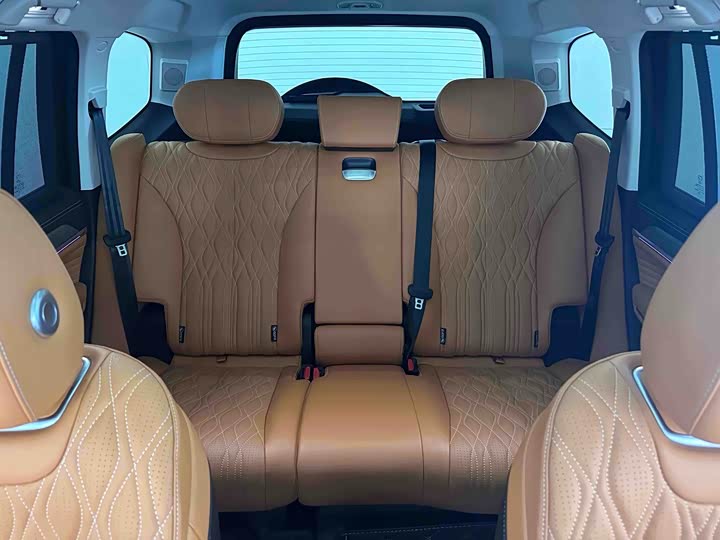 Tank 500 Hybrid 2025 2025款 Hi4-Z