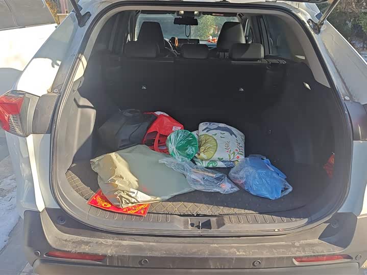 Toyota RAV4 2024 2024款 2.0L CVT两驱都市版